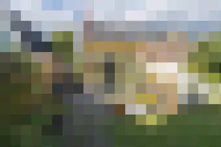 Secretarislaan 18 Driebergen-Rijsenburg thumbnail 43