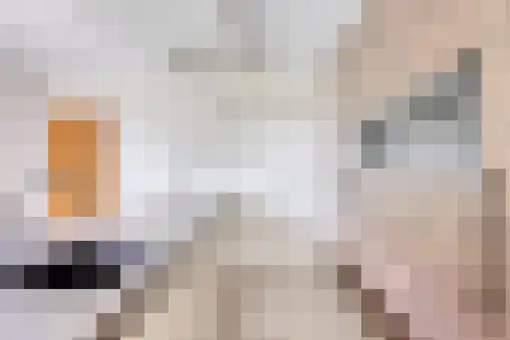 Secretarisstraatje 1 A Berghem thumbnail 10