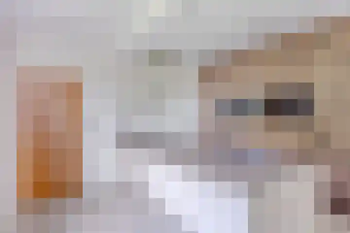 Secretarisstraatje 1 A Berghem thumbnail 11