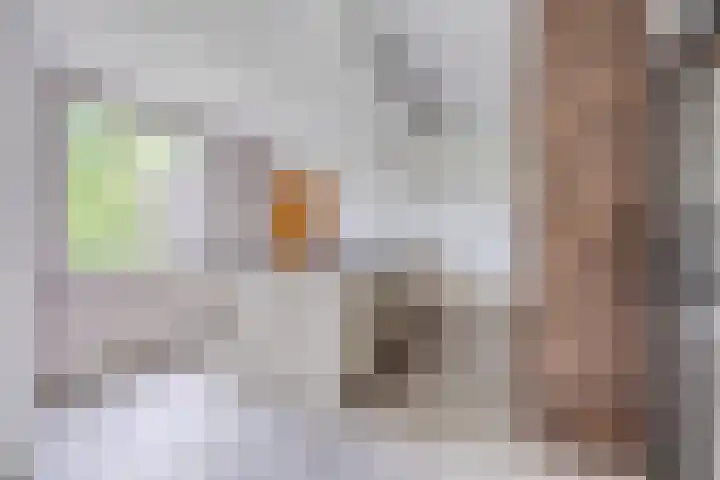 Secretarisstraatje 1 A Berghem thumbnail 12