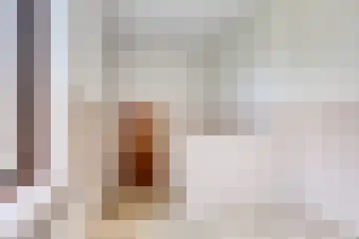 Secretarisstraatje 1 A Berghem thumbnail 15