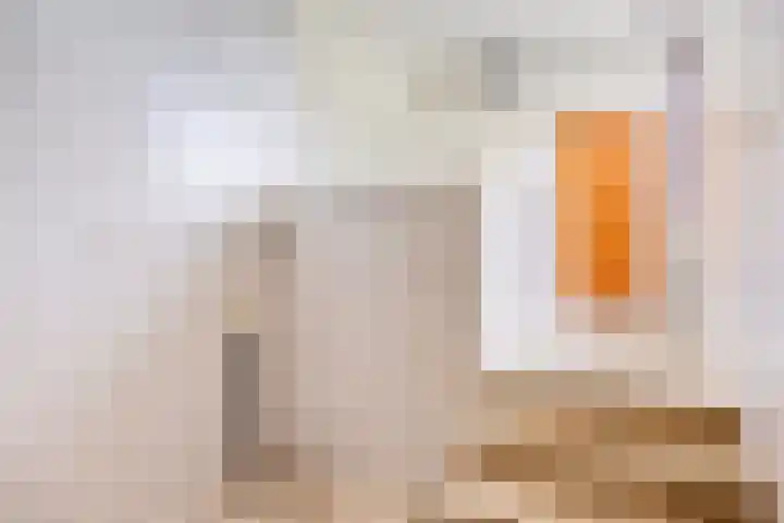 Secretarisstraatje 1 A Berghem thumbnail 16