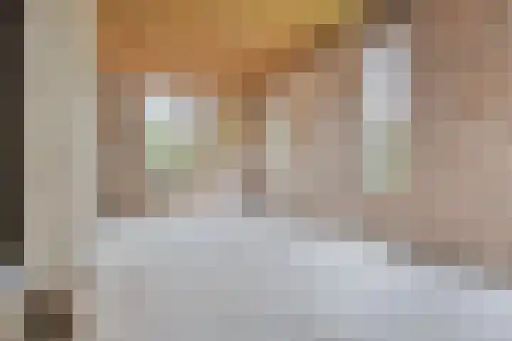 Secretarisstraatje 1 A Berghem thumbnail 18