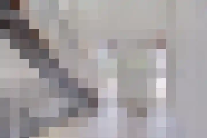 Secretarisstraatje 1 A Berghem thumbnail 25