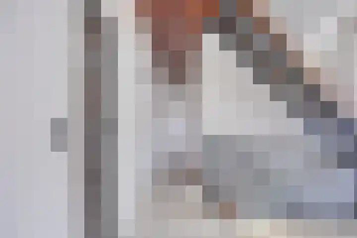Secretarisstraatje 1 A Berghem thumbnail 27