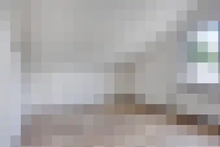 Secretarisstraatje 1 A Berghem thumbnail 29