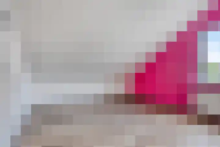 Secretarisstraatje 1 A Berghem thumbnail 33