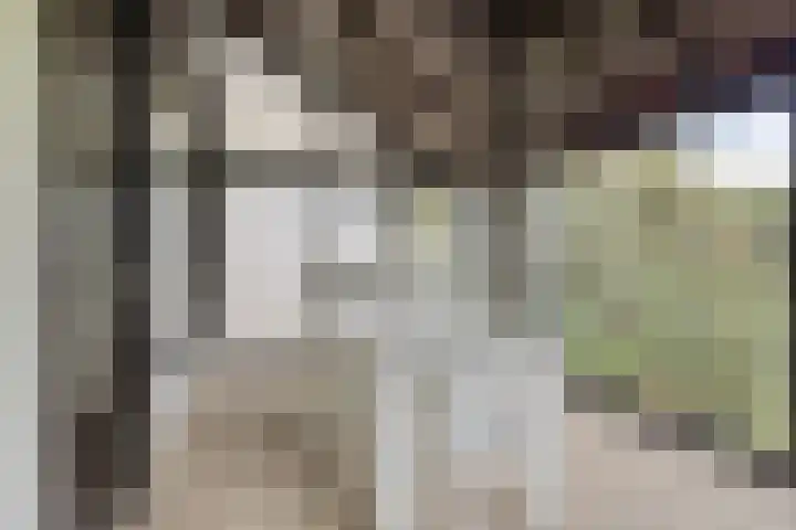Secretarisstraatje 1 A Berghem thumbnail 47