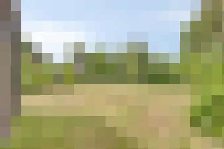 Secretarisstraatje 1 A Berghem thumbnail 49