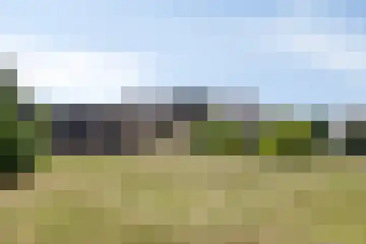 Secretarisstraatje 1 A Berghem thumbnail 51