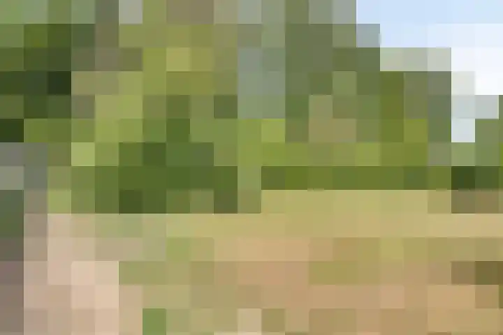 Secretarisstraatje 1 A Berghem thumbnail 52