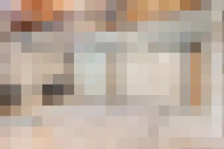 Secretarisstraatje 1 A Berghem thumbnail 55