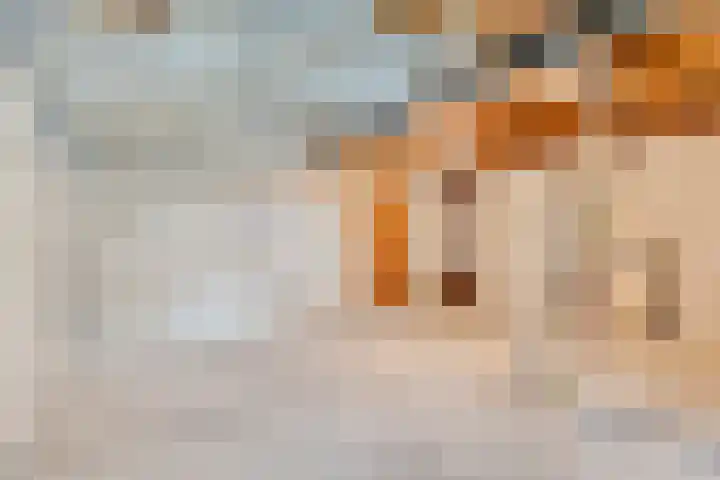 Secretarisstraatje 1 A Berghem thumbnail 56