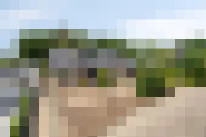 Secretarisstraatje 1 A Berghem thumbnail 58