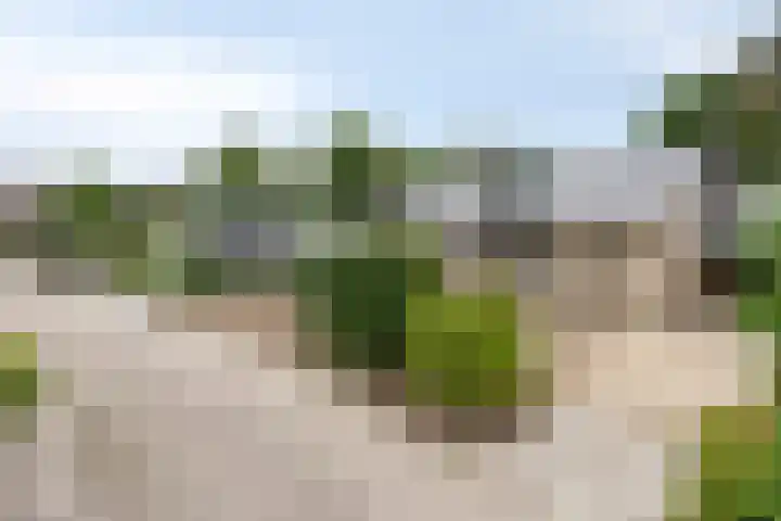 Secretarisstraatje 1 A Berghem thumbnail 60