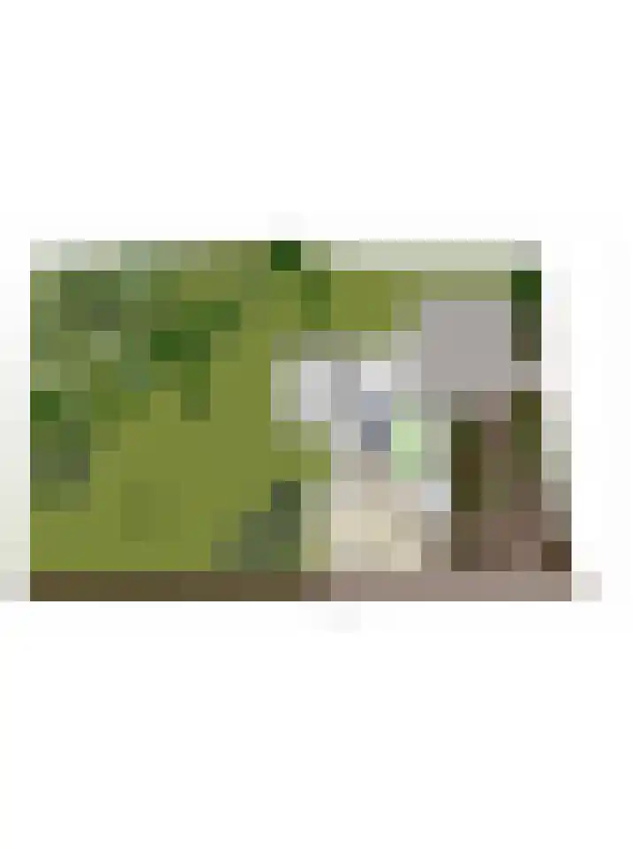 Secretarisstraatje 1 A Berghem thumbnail 61