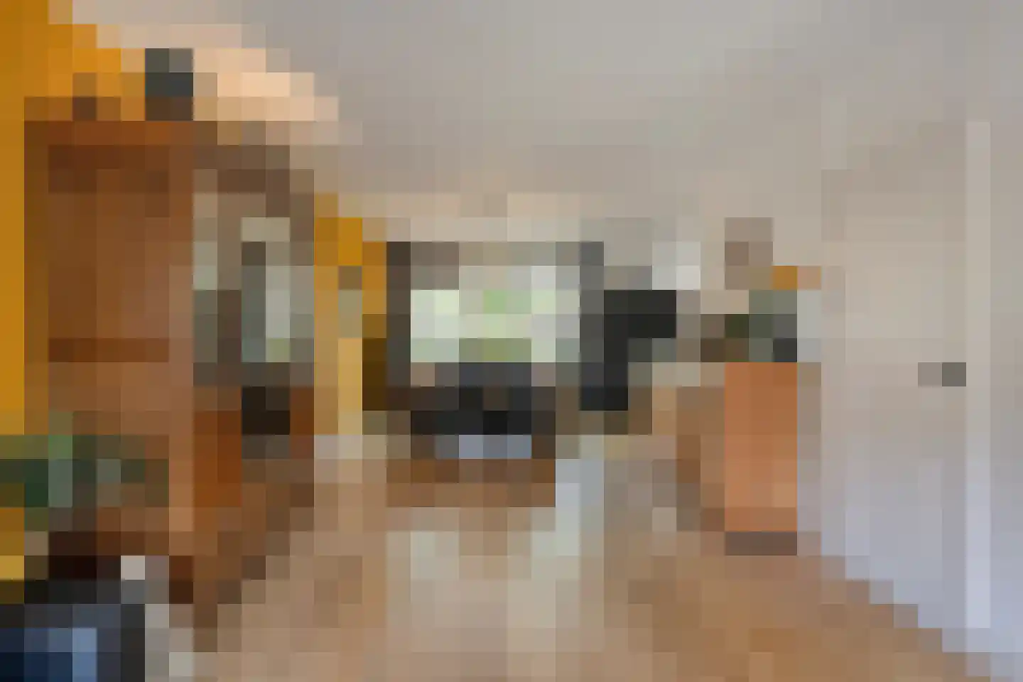 Secretarisstraatje 8 Berghem thumbnail 10