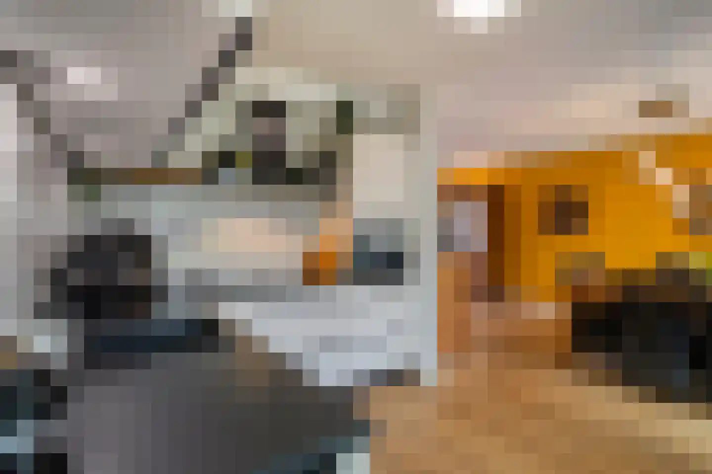 Secretarisstraatje 8 Berghem thumbnail 15