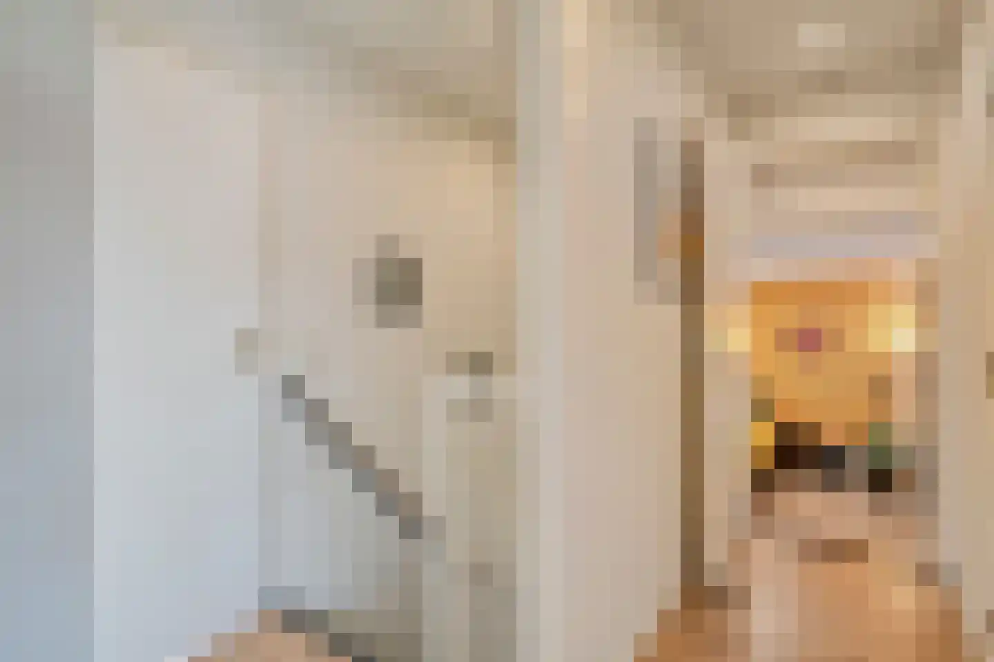 Secretarisstraatje 8 Berghem thumbnail 19