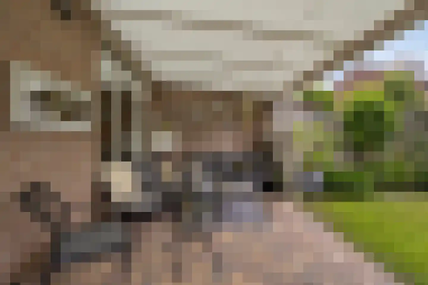 Secretarisstraatje 8 Berghem thumbnail 32