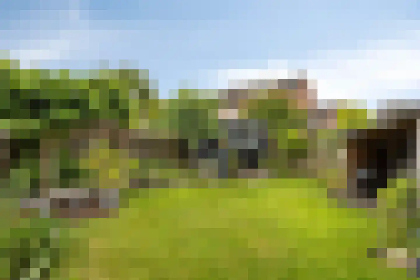 Secretarisstraatje 8 Berghem thumbnail 33