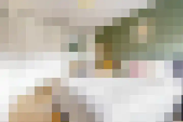 Secundusweg 48 De Meern thumbnail 14