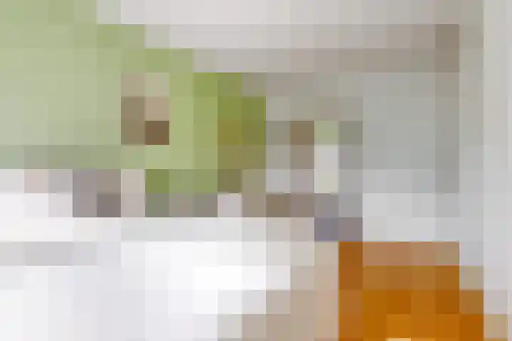 Secundusweg 48 De Meern thumbnail 16