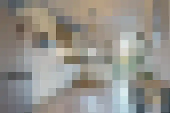 Secundusweg 48 De Meern thumbnail 9