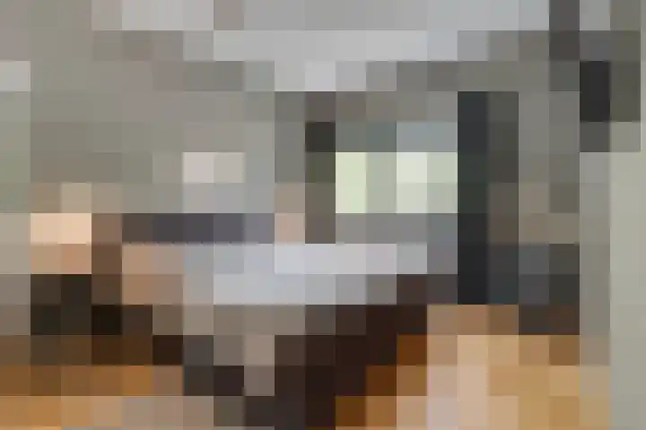 Secundusweg 52 De Meern thumbnail 16