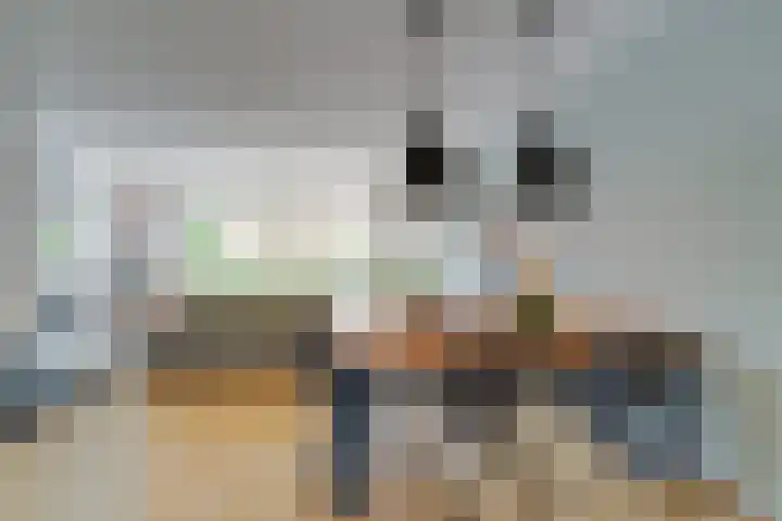 Secundusweg 52 De Meern foto 2