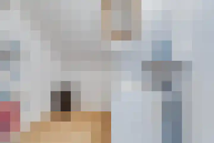 Secundusweg 52 De Meern thumbnail 29