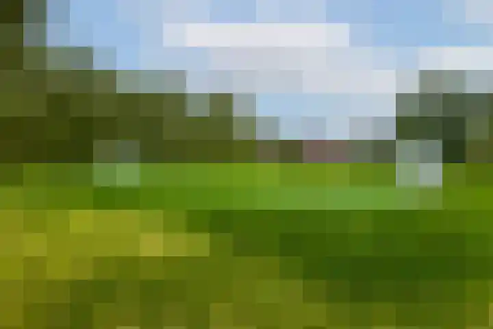 Secundusweg 52 De Meern thumbnail 36