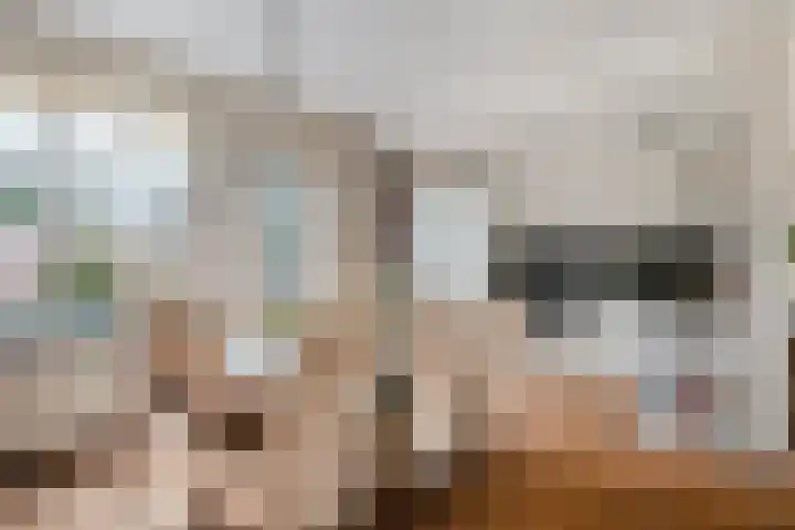 Sedanlaan 22 Eindhoven thumbnail 13
