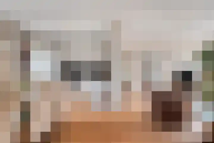 Sedanlaan 22 Eindhoven thumbnail 14