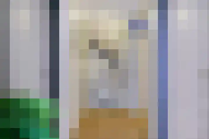 Sedanlaan 22 Eindhoven thumbnail 20