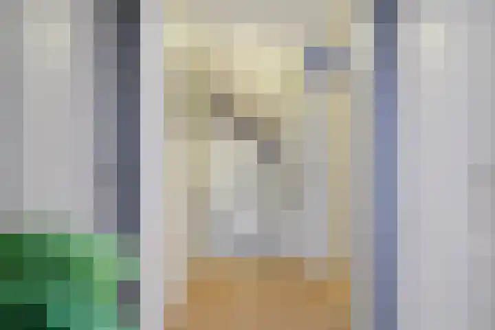 Sedanlaan 22 Eindhoven thumbnail 21