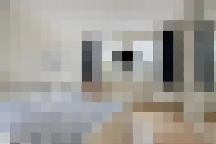 Sedanlaan 22 Eindhoven thumbnail 22