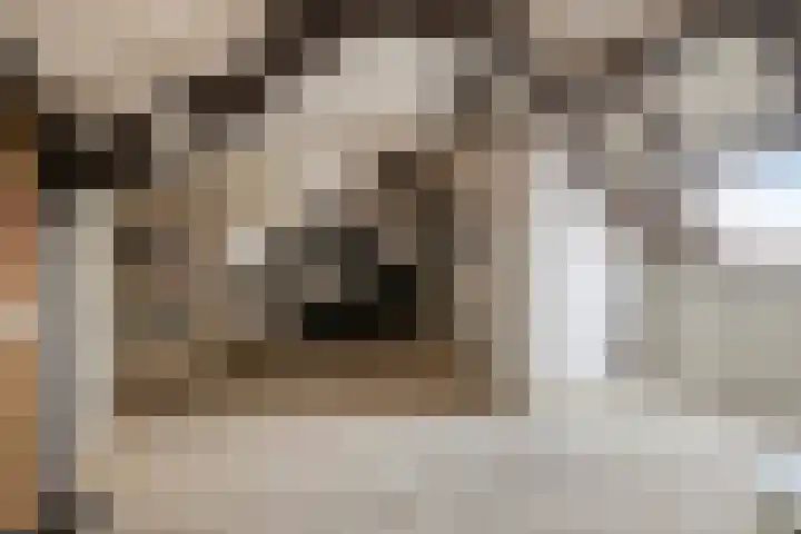 Sedanlaan 22 Eindhoven thumbnail 30