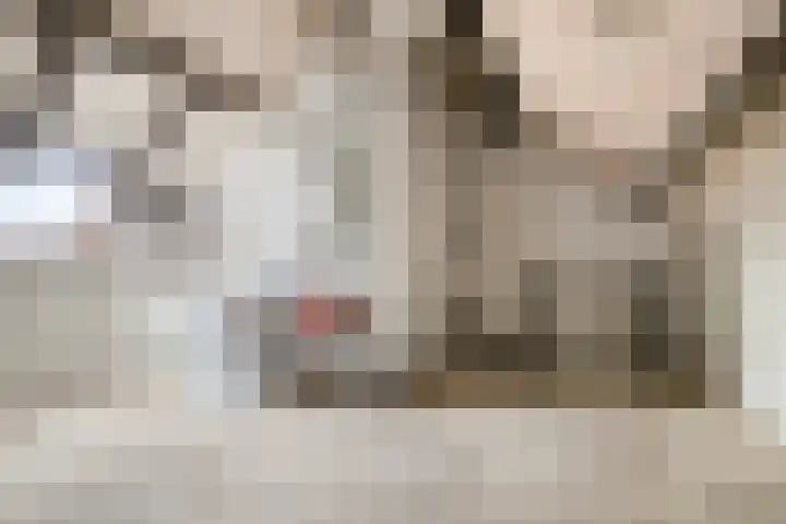 Sedanlaan 22 Eindhoven thumbnail 31