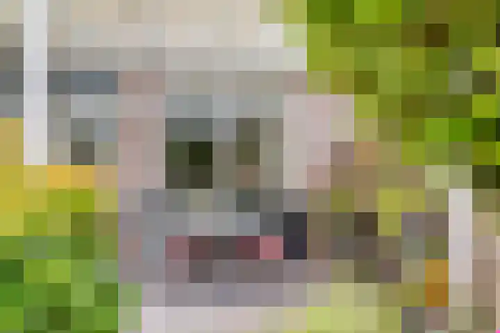 Sedanlaan 22 Eindhoven thumbnail 35