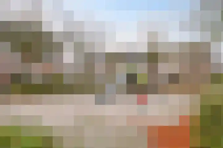 Sedanlaan 22 Eindhoven thumbnail 5
