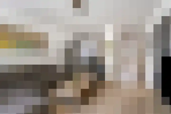 Sedanlaan 27 Eindhoven thumbnail 15