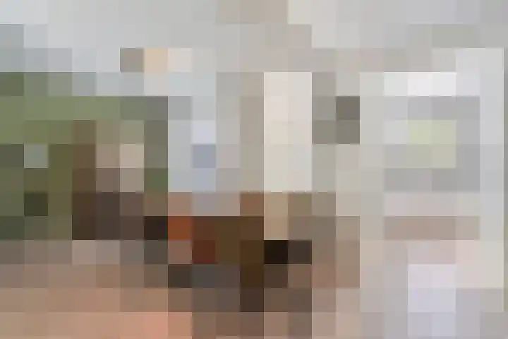 Sedanlaan 27 Eindhoven thumbnail 16