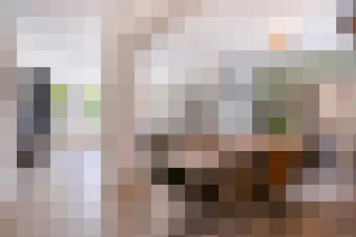 Sedanlaan 27 Eindhoven thumbnail 17