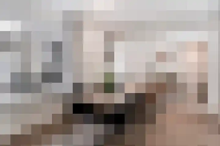 Sedanlaan 27 Eindhoven thumbnail 18