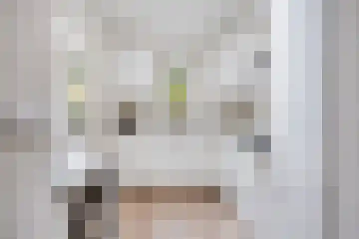 Sedanlaan 27 Eindhoven thumbnail 19