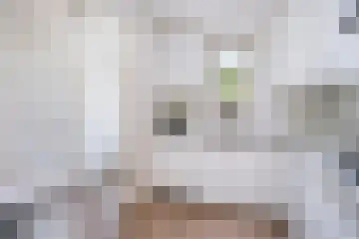 Sedanlaan 27 Eindhoven thumbnail 20
