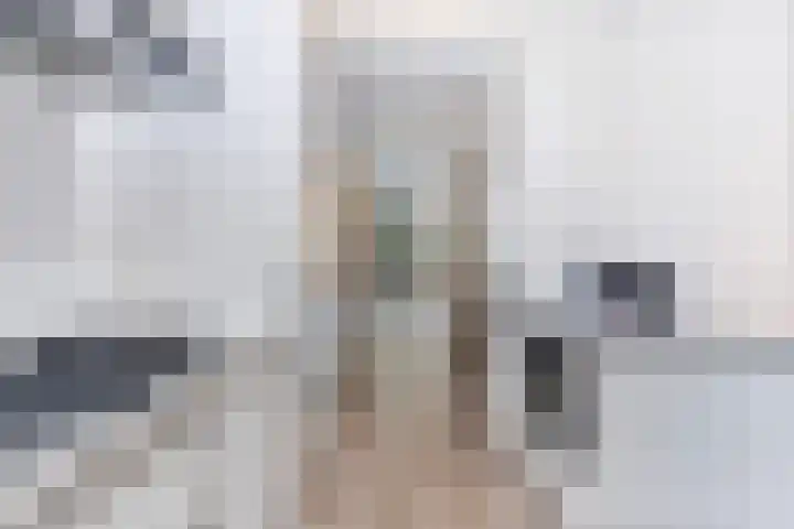 Sedanlaan 27 Eindhoven thumbnail 22