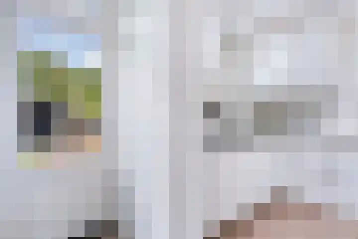 Sedanlaan 27 Eindhoven thumbnail 23