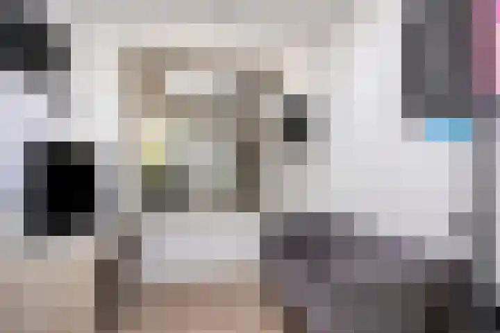 Sedanlaan 27 Eindhoven thumbnail 25